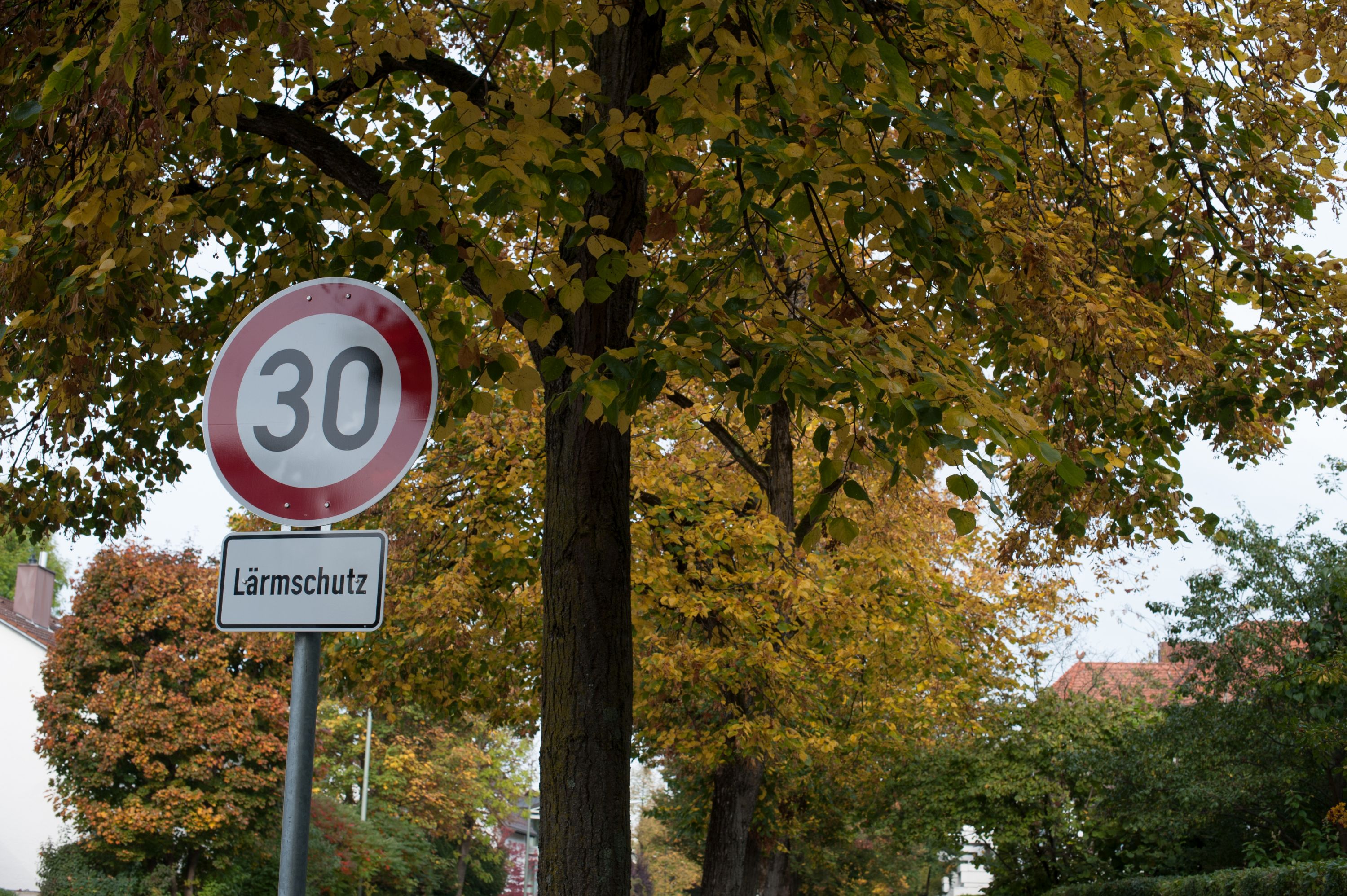 thomas - stock.adobe.com